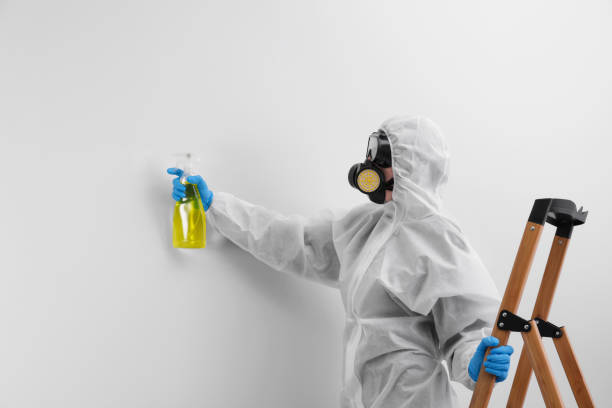 Best Mold Remediation for Healthcare Facilities  in Taylorvle, IL